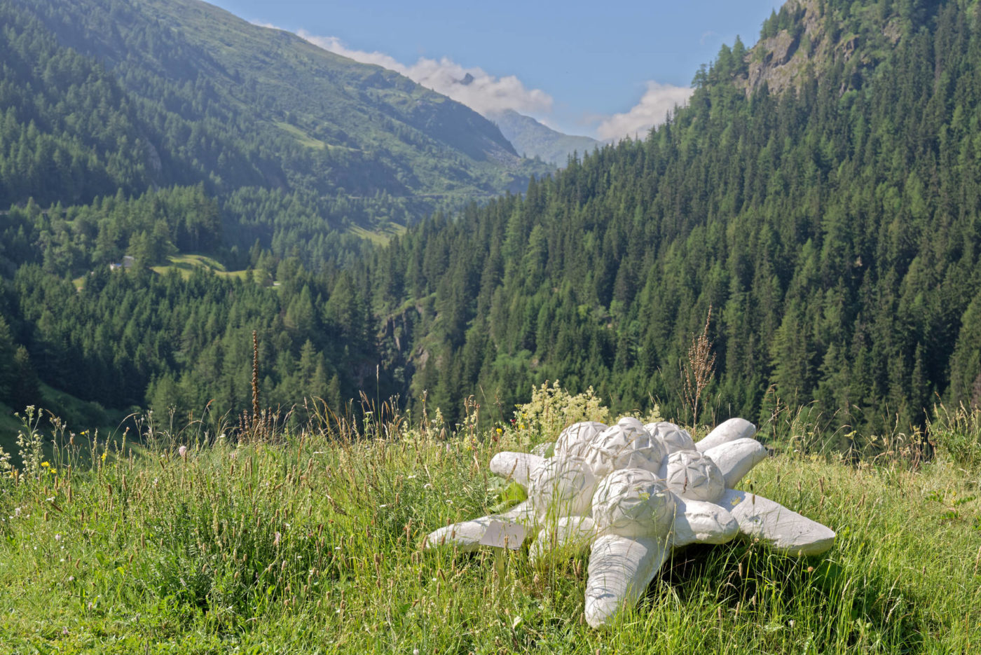 Bourg-Saint-Pierre Jardin alpin la Linnaea