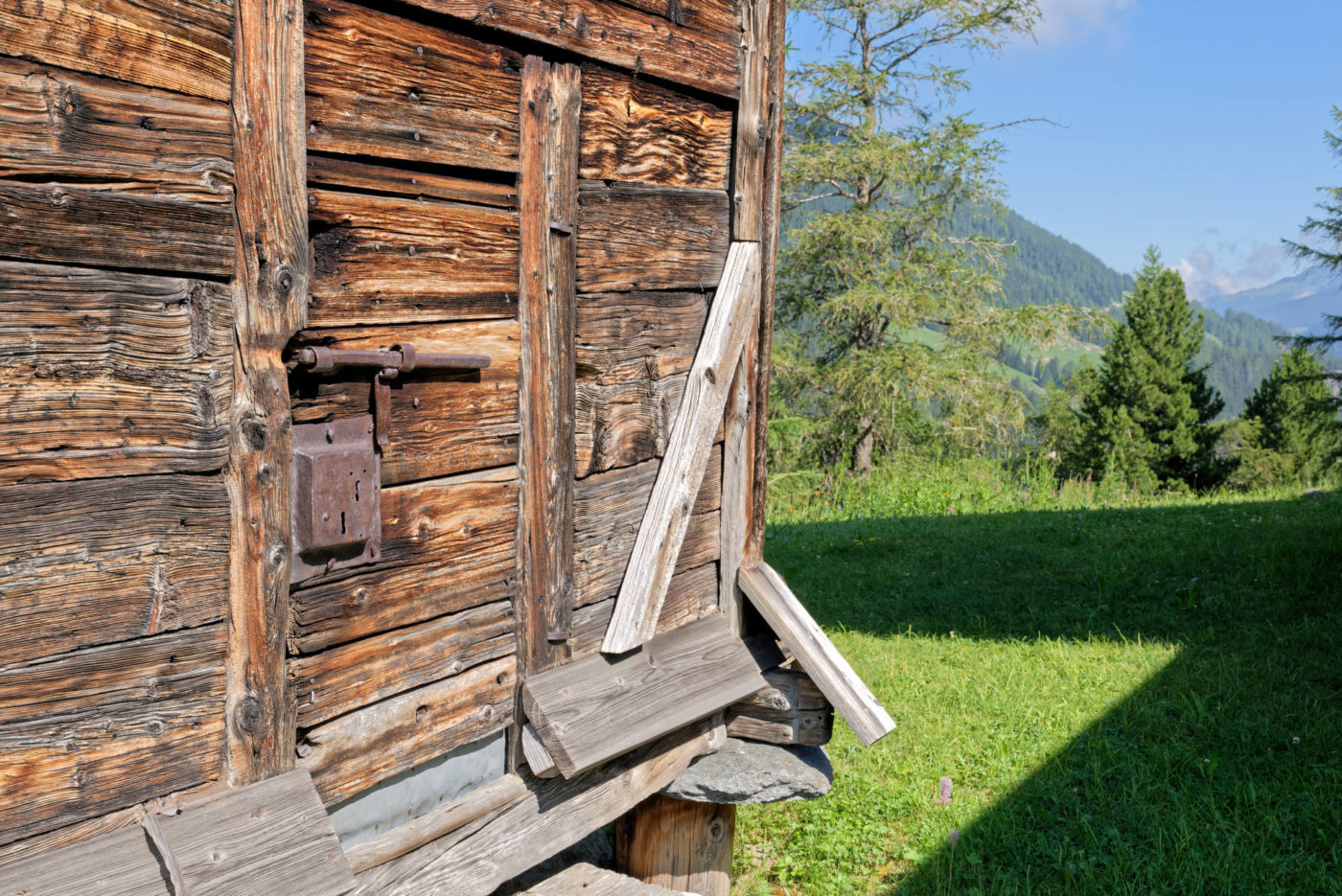 Bourg-Saint-Pierre Jardin alpin la Linnaea